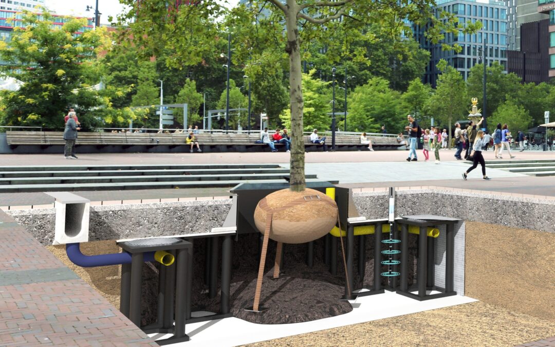 Kies voor toekomstbomen