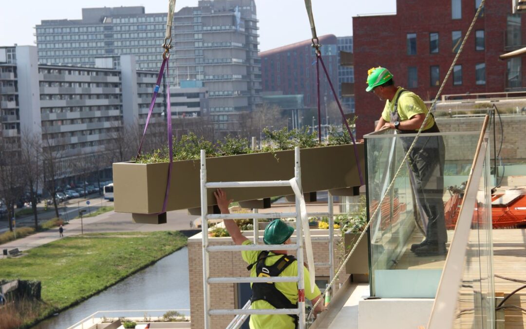 Kant en klaar vergroenen op grote hoogtes