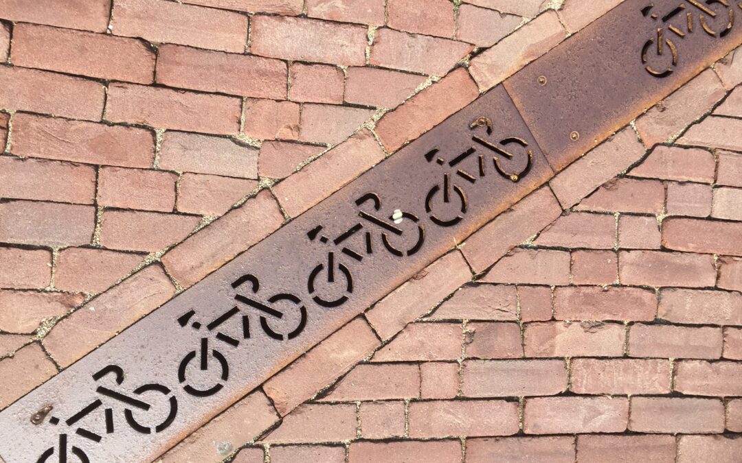 Wat hebben bloedzuigers, fietsen en Leidse sleutels met elkaar gemeen?