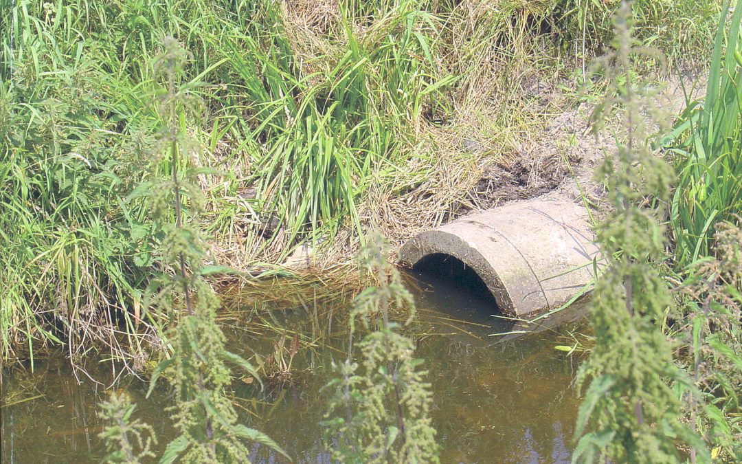 Waterschaarste signaleren, prima, maar waar blijft de actie?